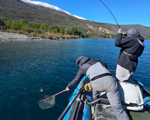 Coyhaique Fly Fishing - Pesca