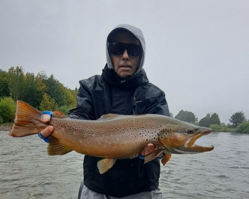 Fly Fishing Patagonia