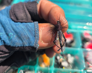 Mosca para pescar