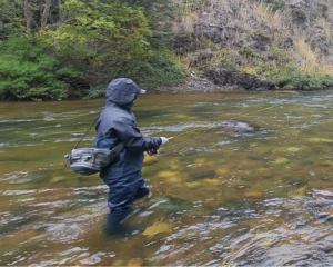 Principiante de Pesca - Pesca con Mosca Patagonia