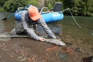 Cuando ir a Pescar - Pesca con Mosca
