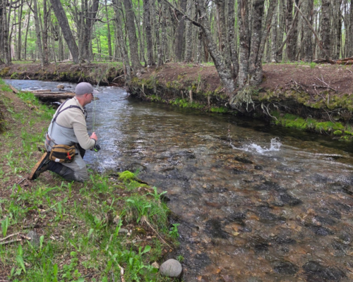 Fly Fishing Patagonia