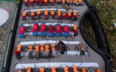 FISHING FLIES: THE 12 ESSENTIALS FOR CHILEAN PATAGONIA