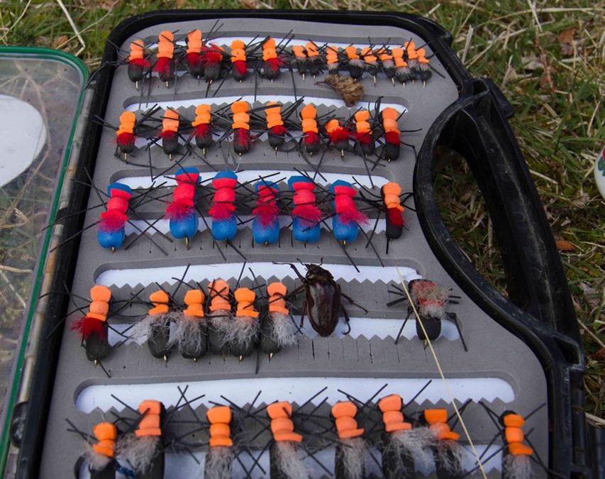 FISHING FLIES: THE 12 ESSENTIALS FOR CHILEAN PATAGONIA